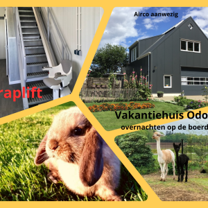 Natuurhuisje in Odoorn