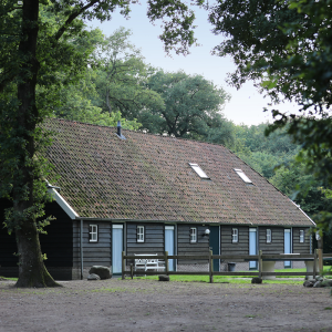 Natuurhuisje in Orvelte